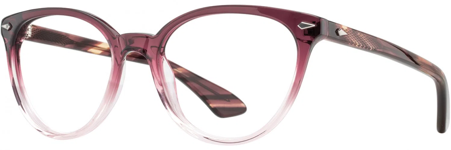 American Optical SLOANE Eyeglasses - view 7